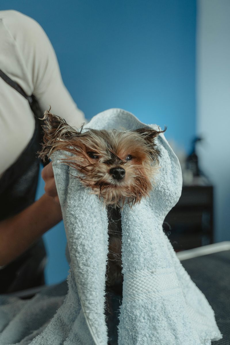 Pack a Lightweight, Quick-Dry Towel