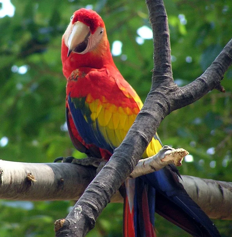Catoctin Wildlife Preserve and Zoo, Maryland