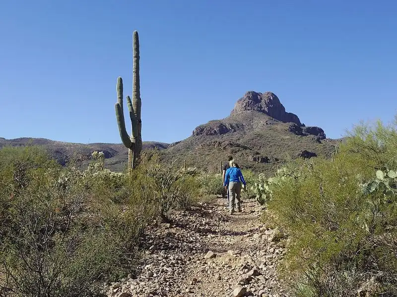 Saguaro National Park Hiking