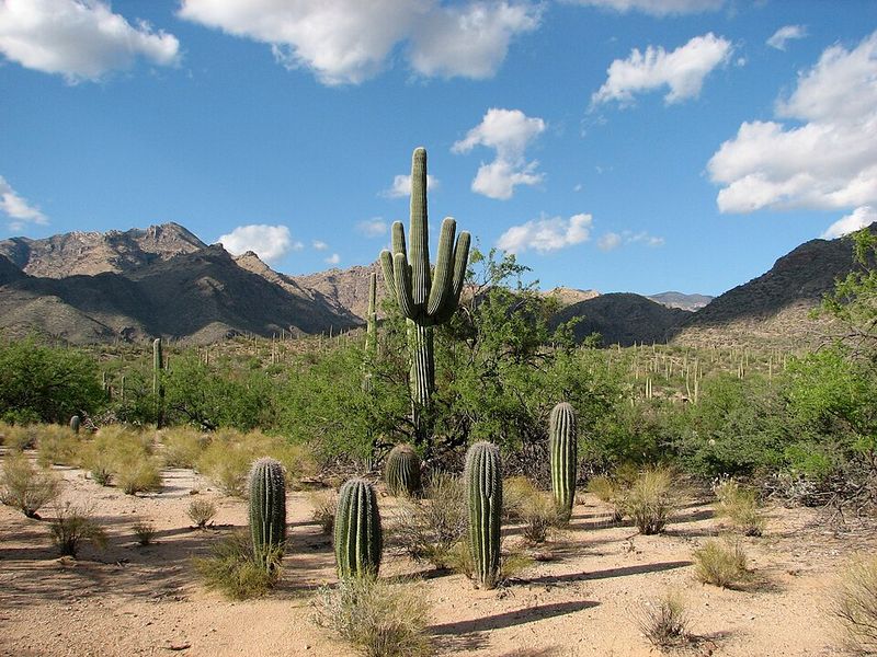 Sabino Canyon Recreation Area