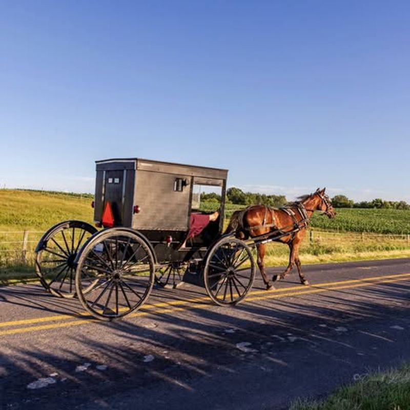 Shipshewana — “Horse-Drawn Buggies and Bargain Aisles”