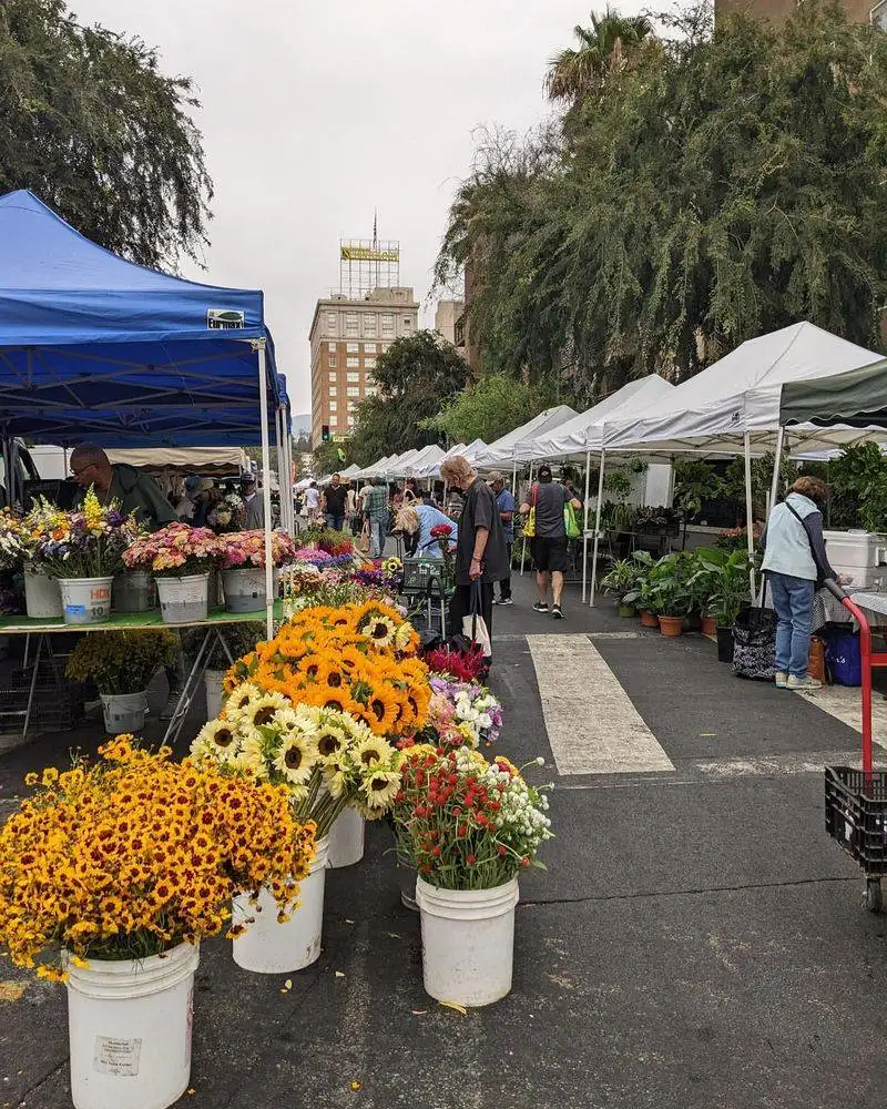 Hollywood Farmers Market