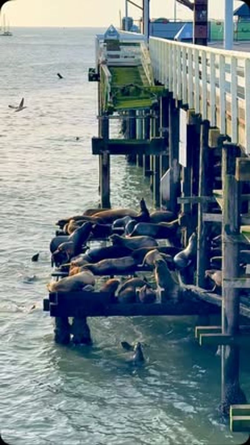 Santa Cruz Wharf – Santa Cruz, CA