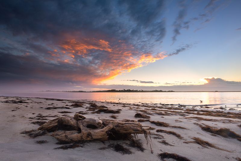 Capers Island – Remote and Untouched Wilderness
