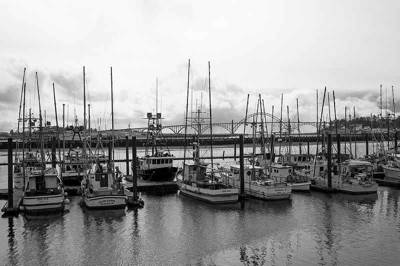 Newport