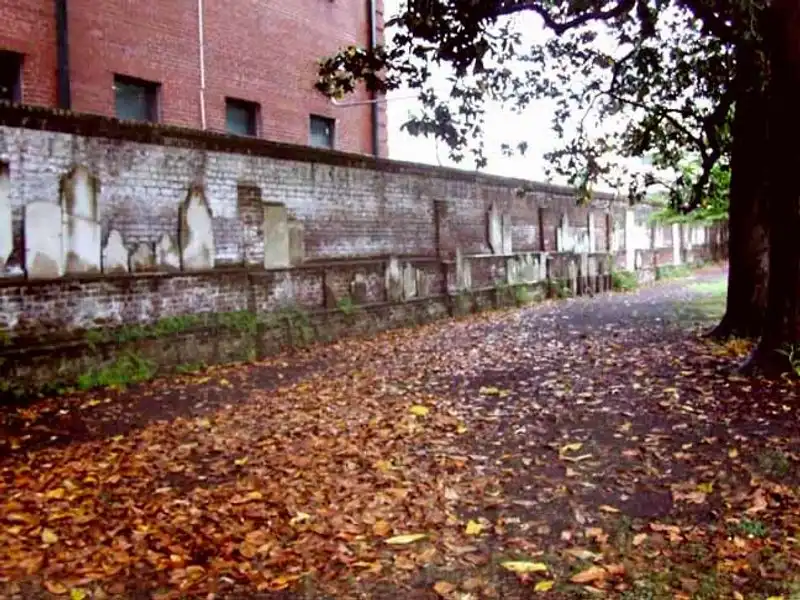 Pumpkin Spice and Southern-Inspired Treats