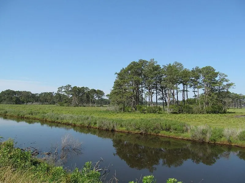 Why It Matters — Conservation & Coastal Dynamics