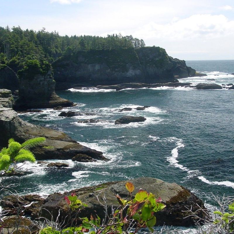 Neah Bay & Cape Flattery