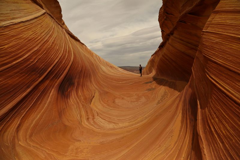 The Wave (Arizona)