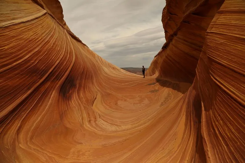 The Wave (Arizona)