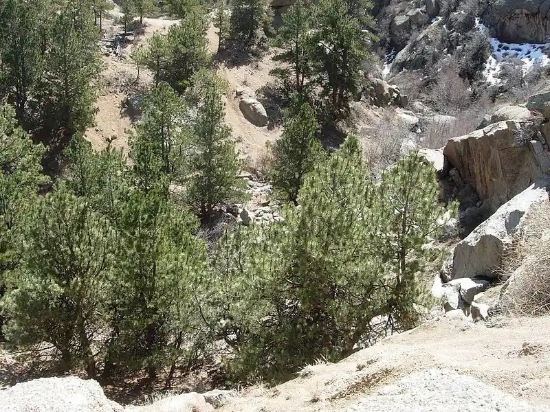 Curt Gowdy State Park