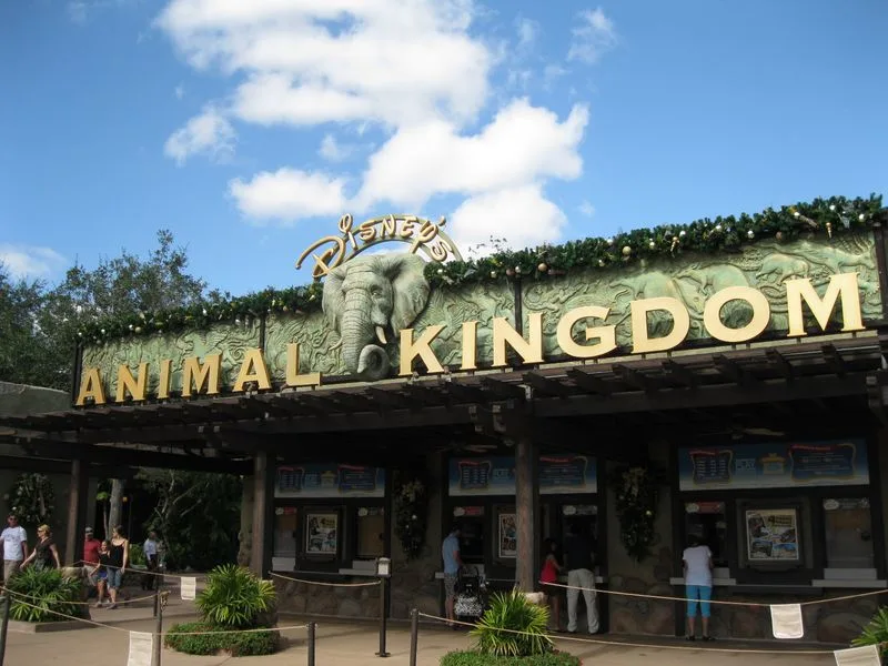 Disney World: No Large Balloons in Animal Kingdom
