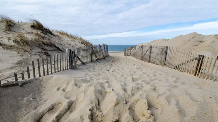 Skip Acadia, These 12 Coastal Parks Show Off America’s Rugged Edge in Quieter Ways