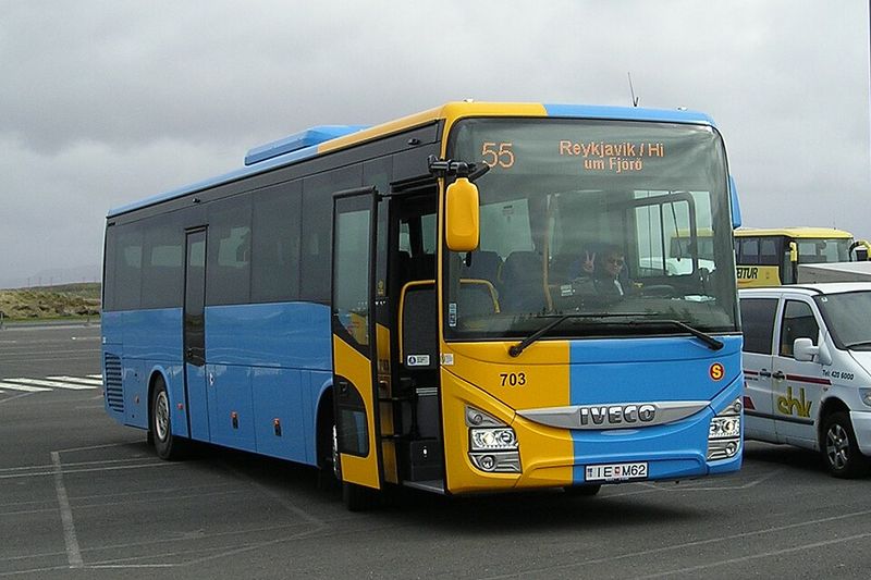 Use Public Buses or Carpool Apps
