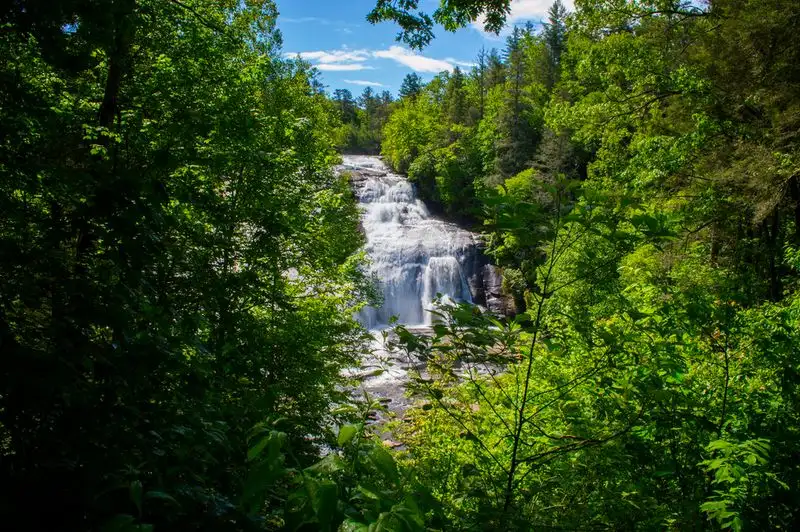 Dupont State Recreational Forest