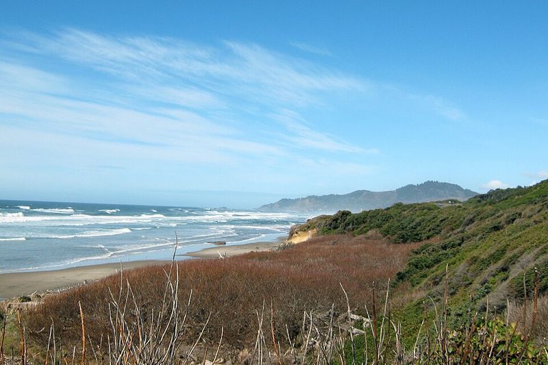 Summer for Hiking and Coast Trips