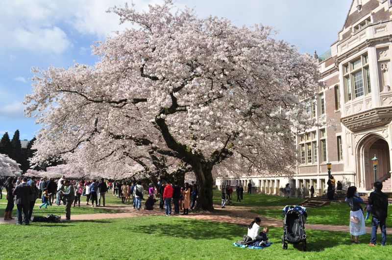 University of Washington
