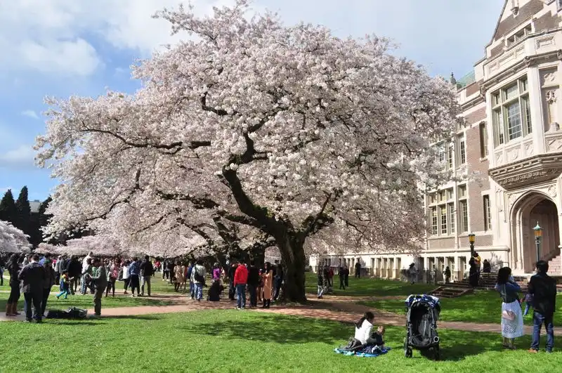 University of Washington