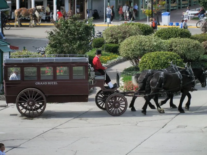 Take a Horse-Drawn Carriage Tour
