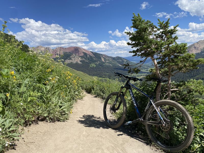 Mountain Biking and Climbing