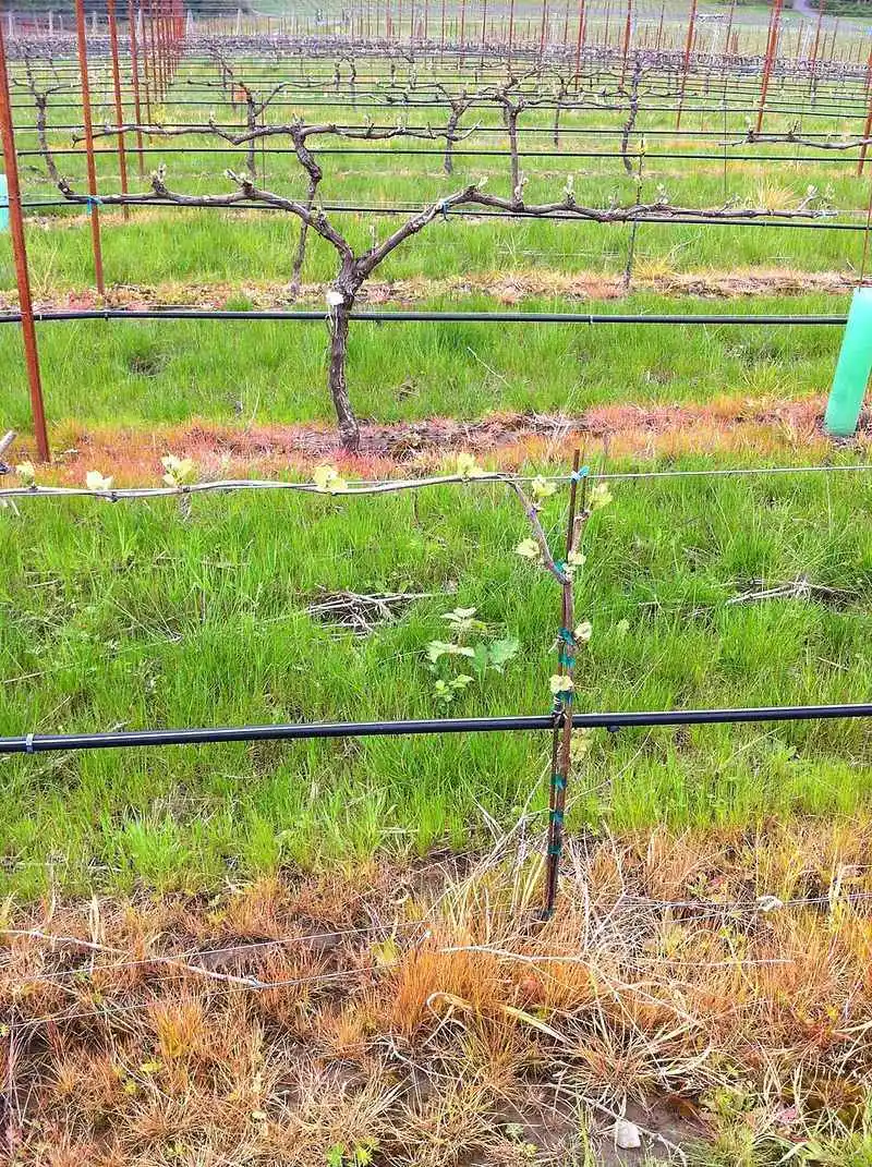 Fall for Wine Country and Foliage Drives