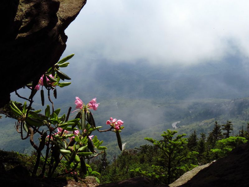 Grandfather Mountain (Calloway Peak), North Carolina