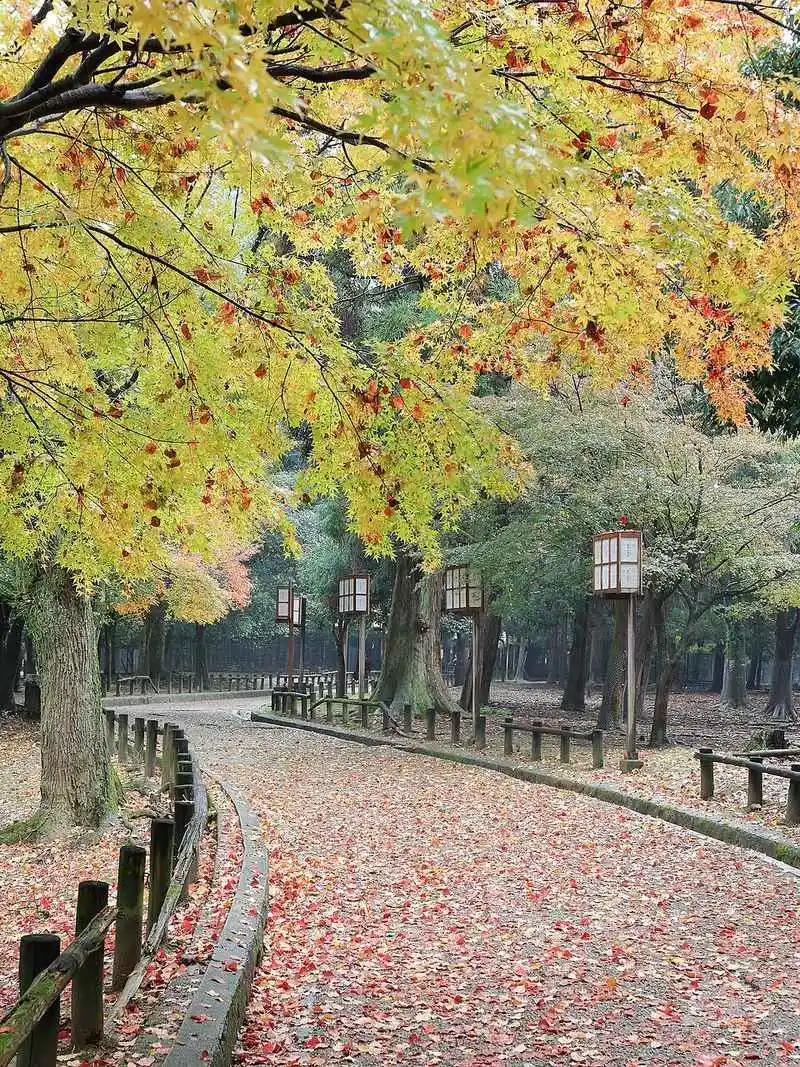 Nara