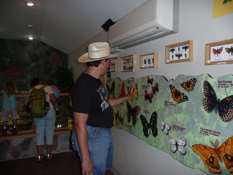 Visit the Butterfly House