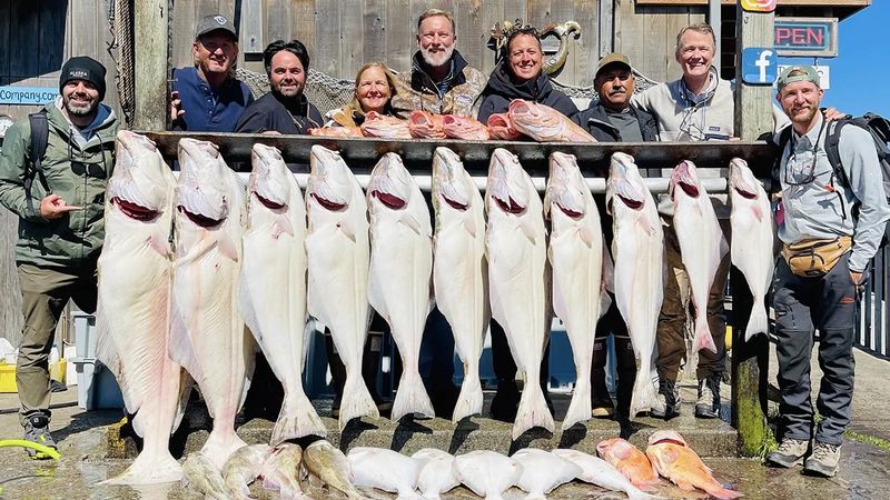 Homer Fish Processing – Homer