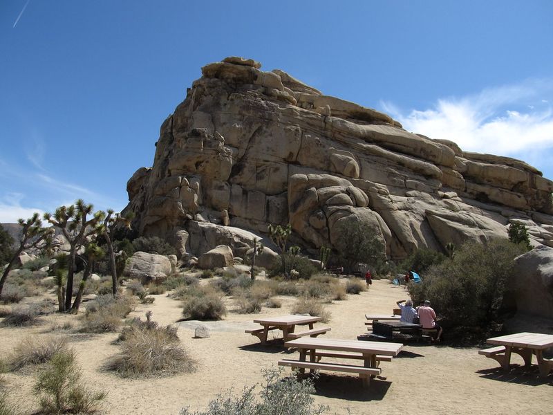 Joshua Tree, California