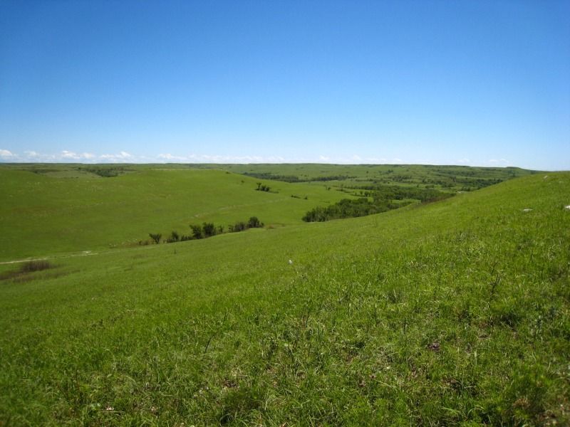 Konza Prairie Biological Station