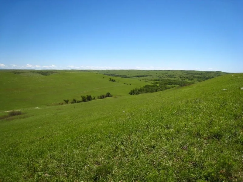 Konza Prairie Biological Station