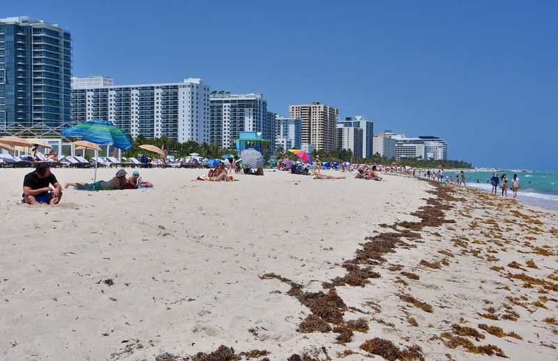 Miami's Beautiful Beaches