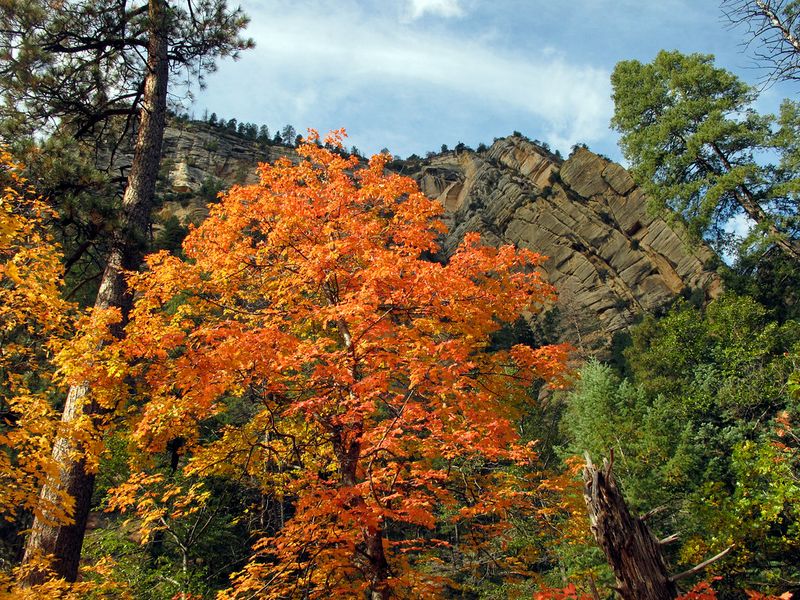 Sedona, Arizona