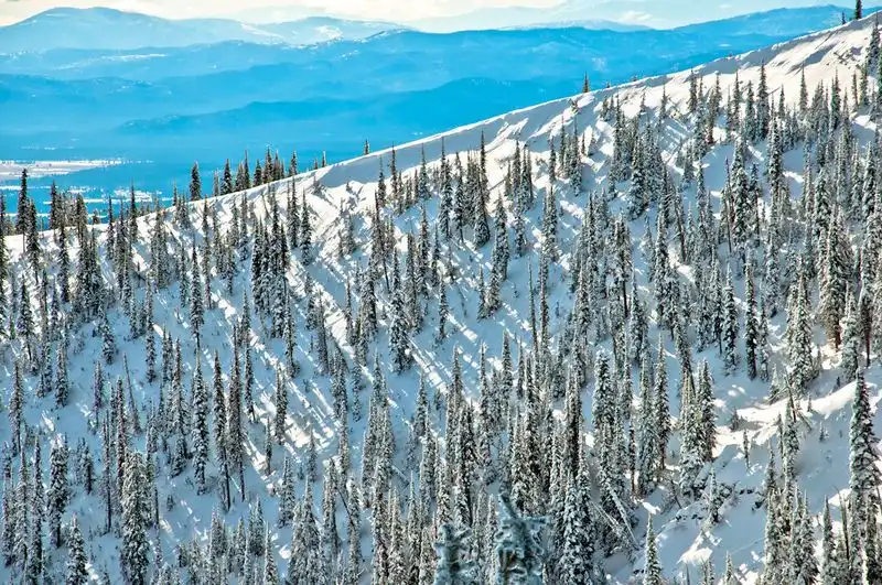 Whitefish, Montana