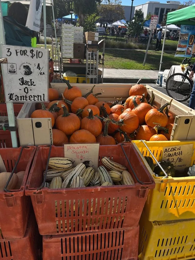 Berkeley Farmers Market