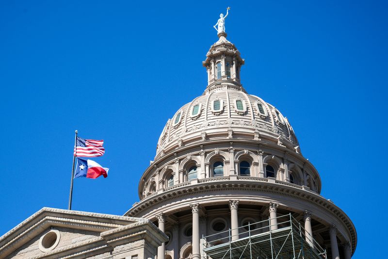 Texan Politics
