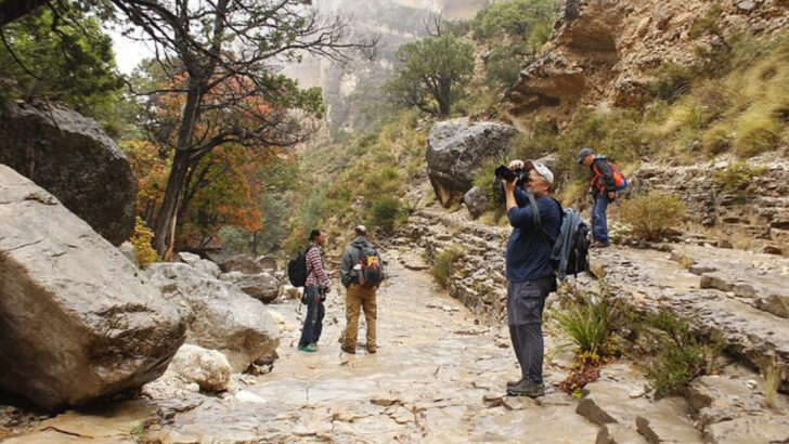 Texas Is Full of 10 Overhyped Destinations That Actually Live Up to It