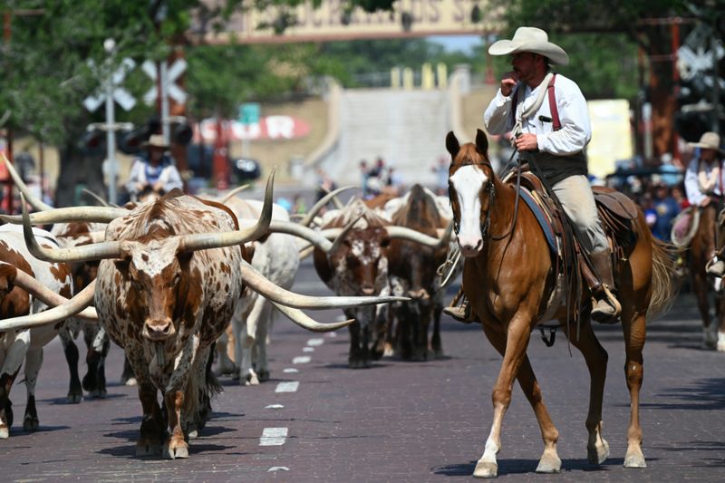 Cowboy Culture