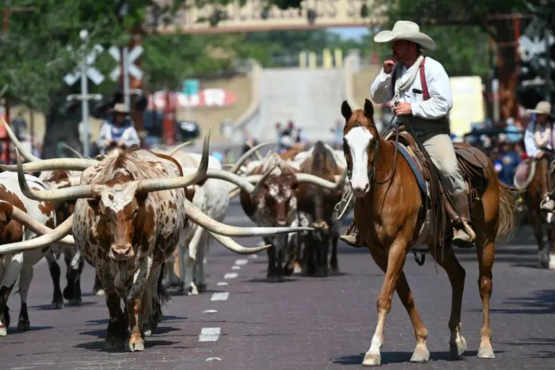 Cowboy Culture
