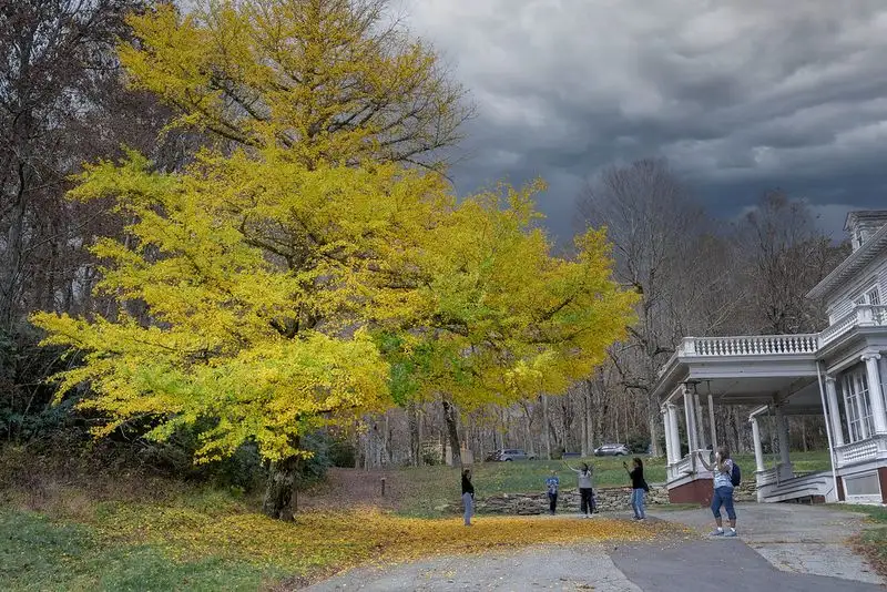 Moses H. Cone Memorial Park