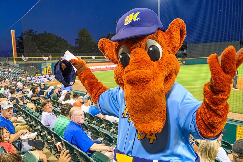 Riverwalk Stadium – Montgomery, AL