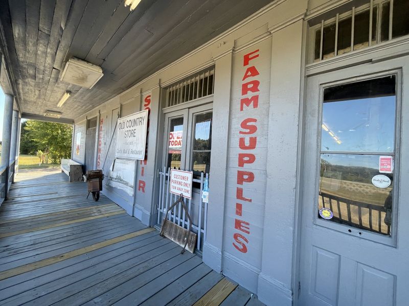 Old Country Store / Mr. D’s Fried Chicken — Lorman