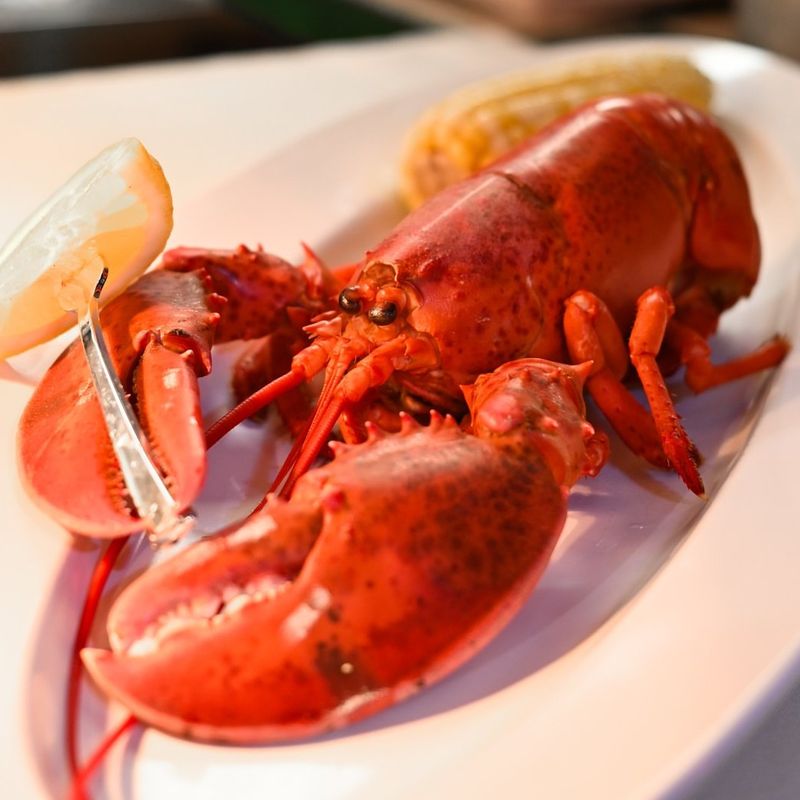 Pickle Bill’s Lobster House – Grand River