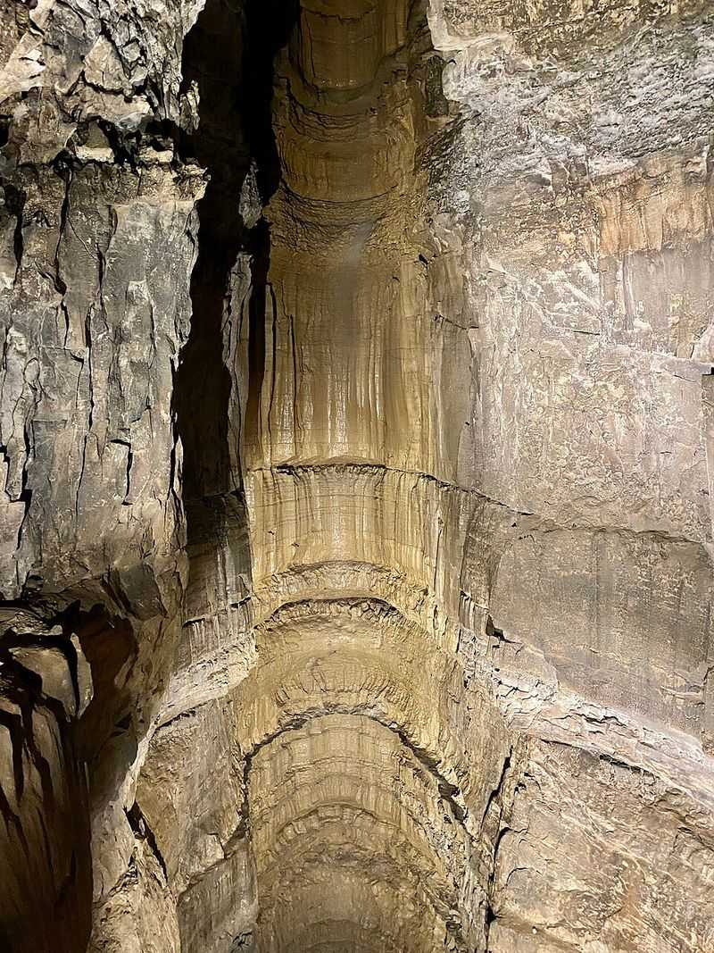 Role in Speleology