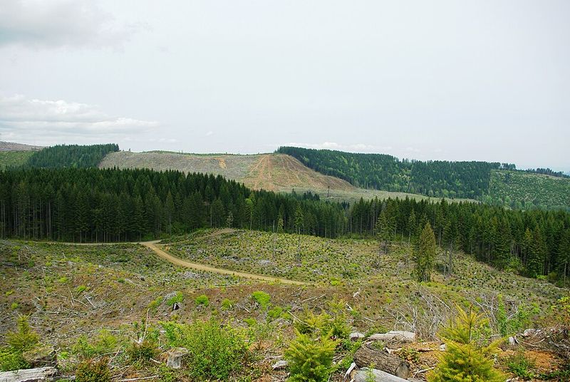 The Pacific Northwest – Oregon and Washington