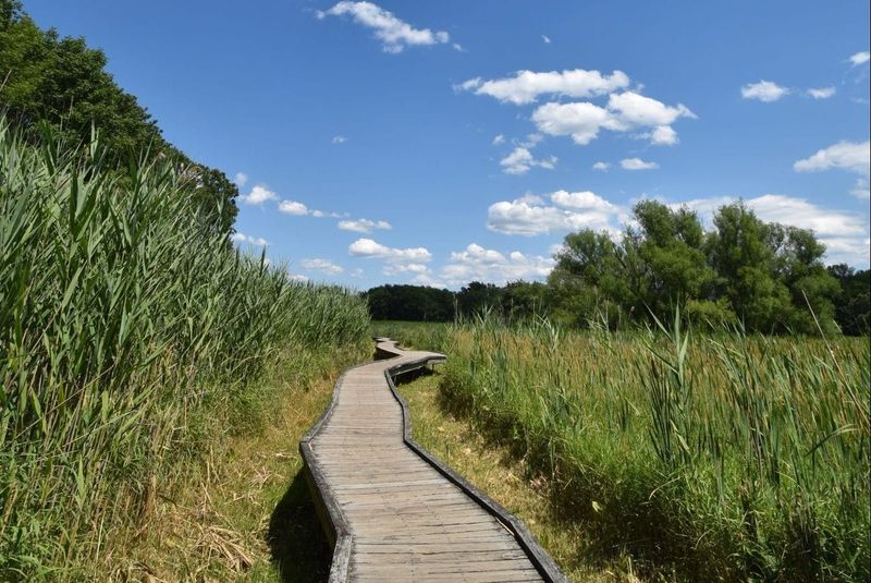 The Appalachian Trail - Walking the Wild