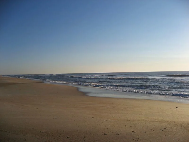 A Hidden Shoreline Gem