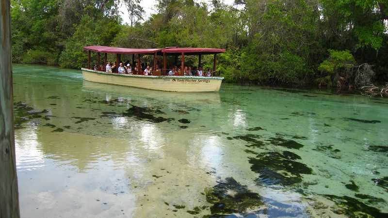 The Crystal-Clear Waters