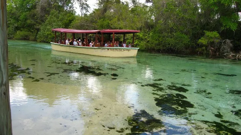 The Crystal-Clear Waters